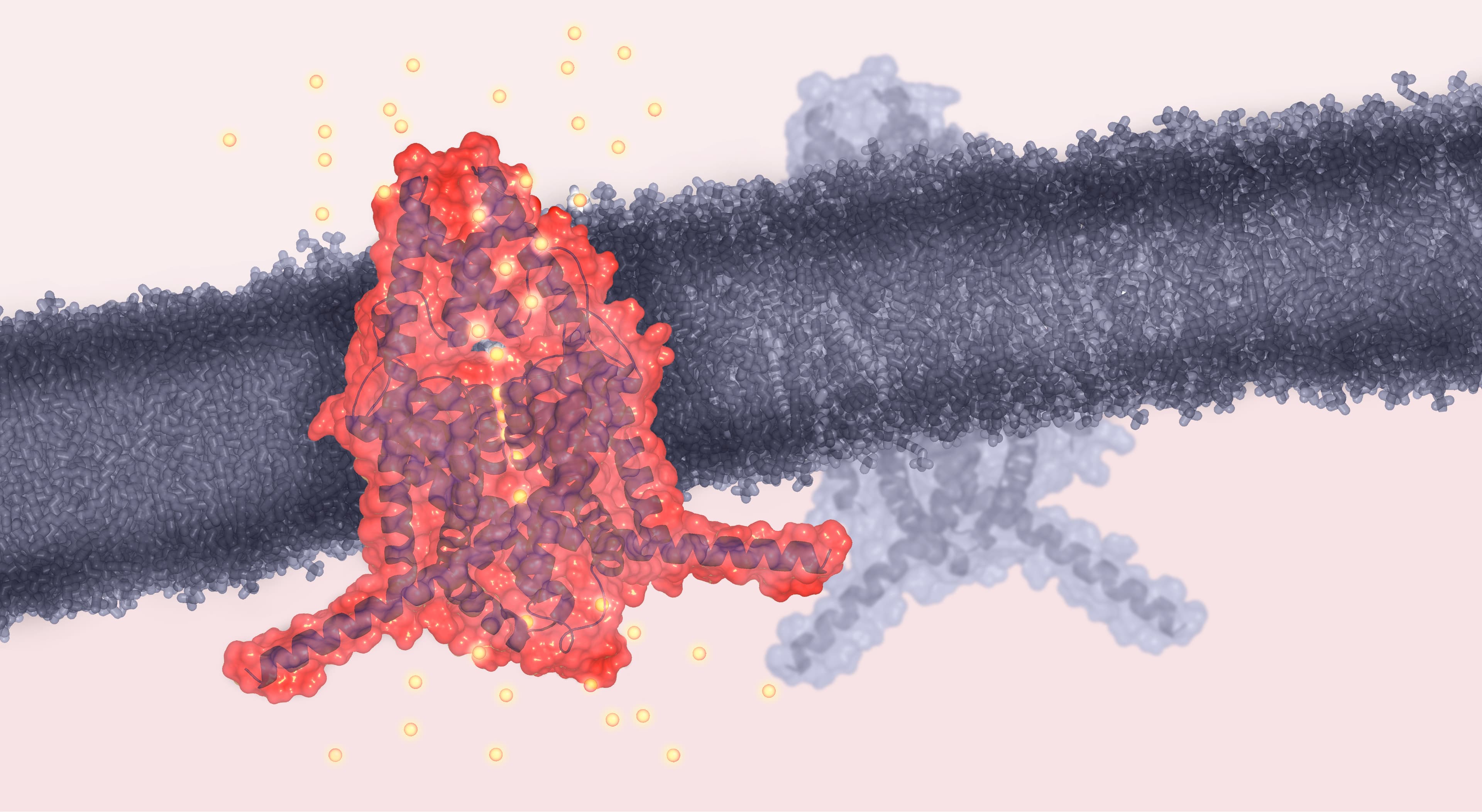 Conformational states of TREK2