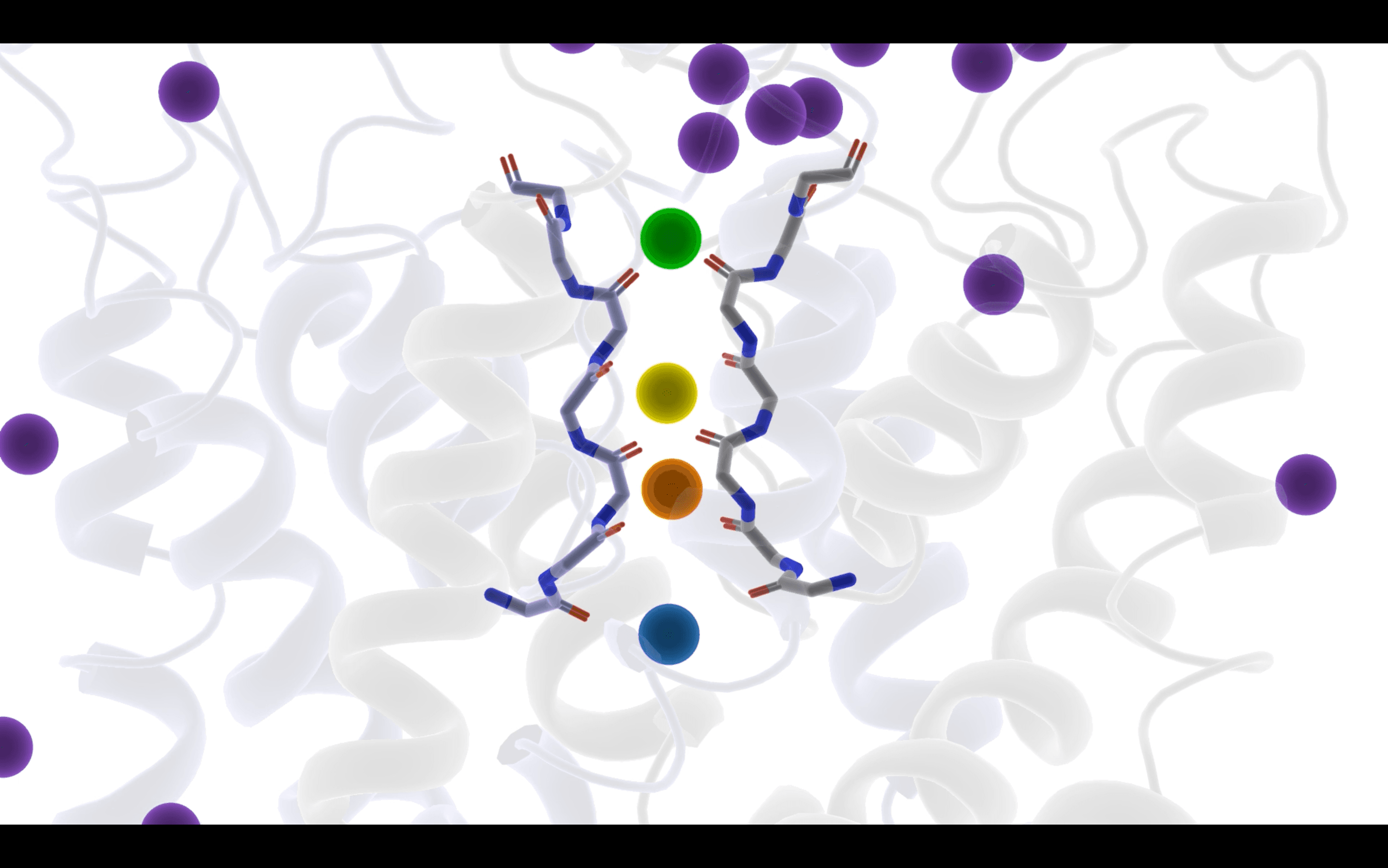 Ion permeation MD simulation of TREK ion channel